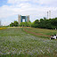 Spring time in Odaiba