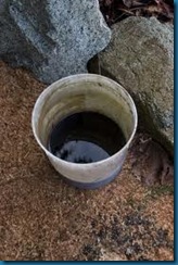 worm casting tea worm casting tea