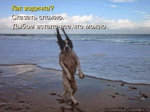 [0a25bab8af8b3d5868f3f1958ac_prev%255B2%255D.jpg]