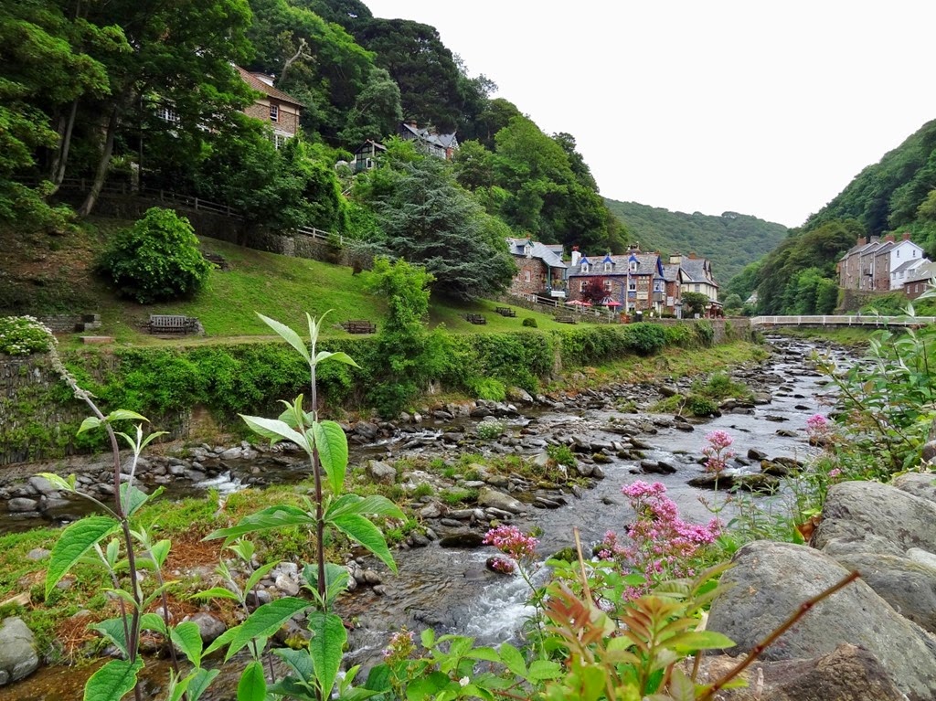 [DSC06937%2520%25281300x974%2529%255B8%255D.jpg]