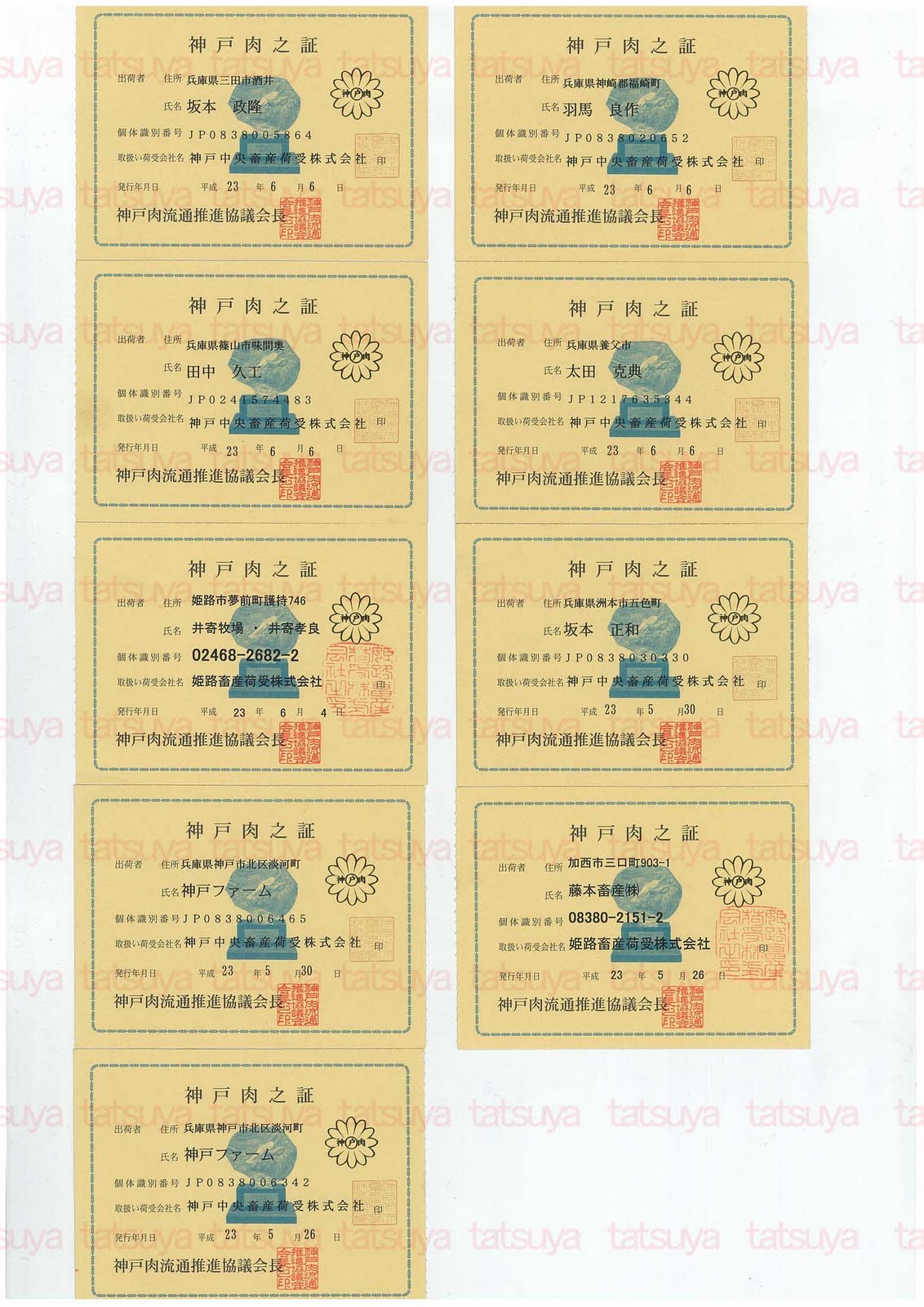 [LOT-11062901-%25232.jpg]