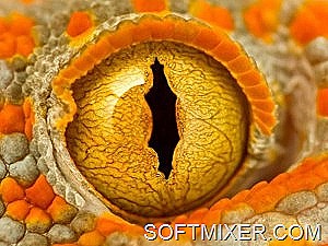 [clip_image041%255B9%255D.jpg]