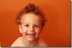 IMG_2012 IMG_2012