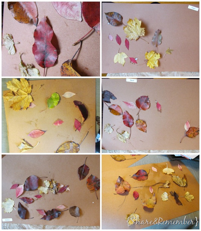 [Leaf%2520Collages%255B4%255D.jpg]