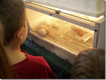 100_8452