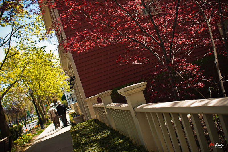 Niagara-on-the-Lake-2.jpg