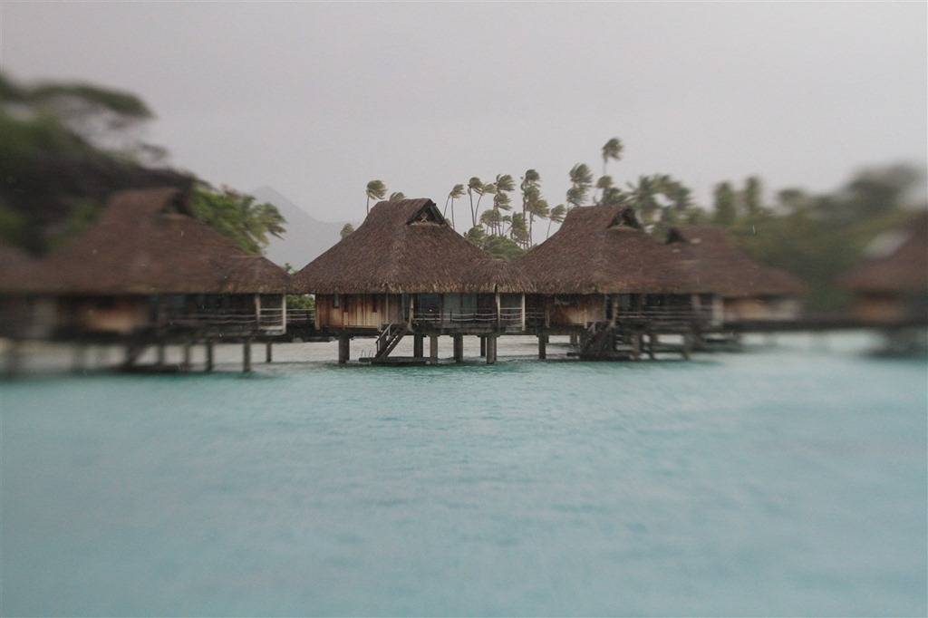 [IMG_09343.jpg]