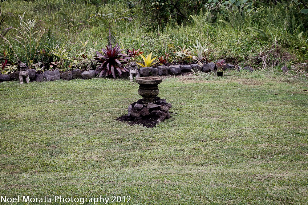[_MG_28849.jpg]