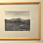 Cornfield $150