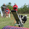 DSC01082.JPG