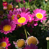 IMG_2486.JPG