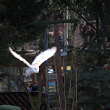 Cub Pack Holiday - Skreens Park 2012 - DSC_0148.jpg