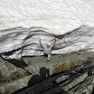 DSCN0604.JPG