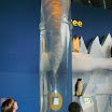 BILD0197.JPG