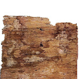 Codex Madrid