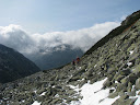 IMG_1602.jpg