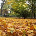 100_8745.JPG