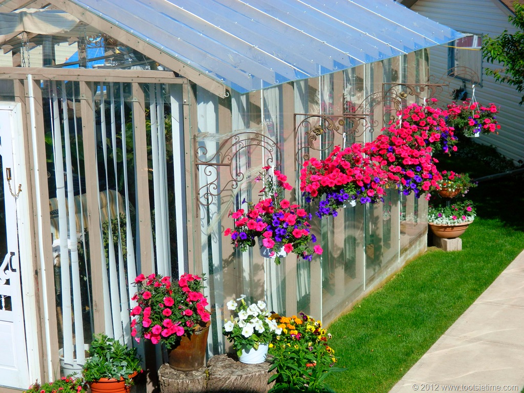 [DSCN0804%255B6%255D.jpg]