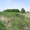 dsc06851.jpg
