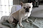 I managed to control myself when I saw that squirrel and look at me!  I don't need a bath!