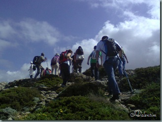 foto0115 foto0115