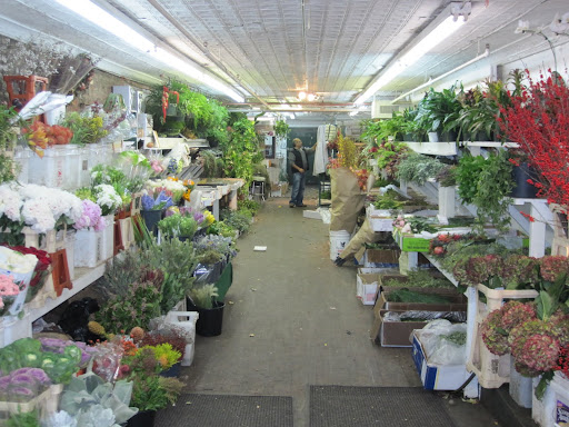 A look inside the shop from the front door.