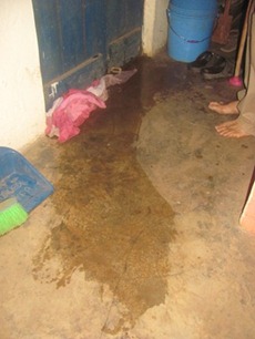 IMG_3065 IMG_3065