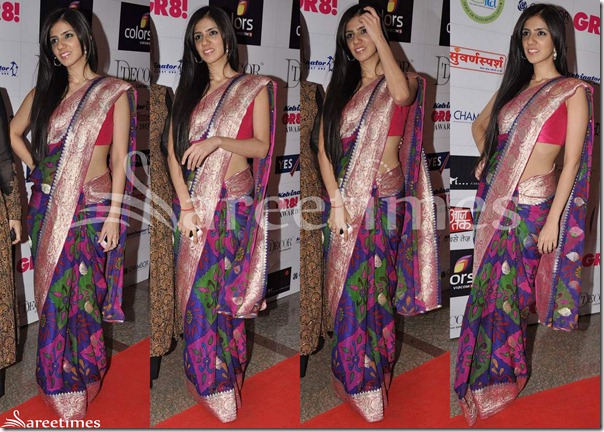 Nishika_Lulla_Printed_Saree