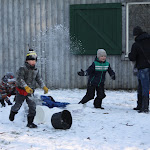Bevers_in_de_sneeuw_2012_017.jpg
