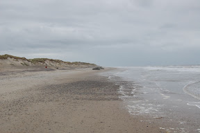 DSC_0178.JPG