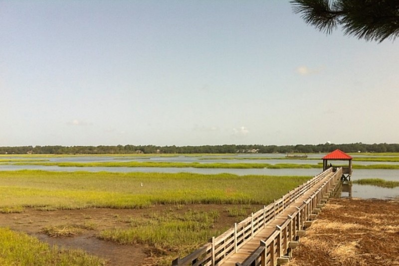 [HIlton%2520head%2520marsh%255B4%255D.jpg]