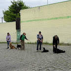 Alaptanfolyam vasárnap - külsős terep 2012.05.13. Alaptanfolyam vasárnap - külsős terep 2012.05.13.