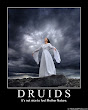Druids Demotivator