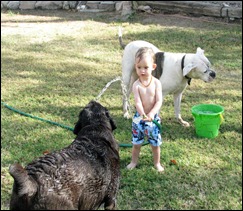 IMG_7489 IMG_7489