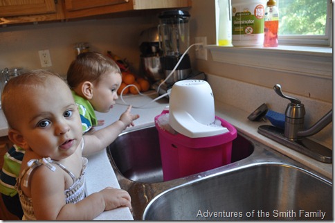 Big Red, homemade ice cream, big red ice cream, kids in the kitchen, ice cream