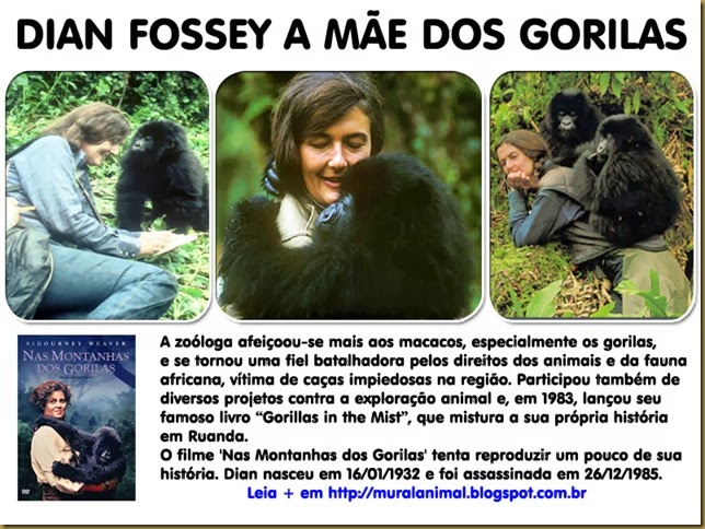 dian_fossey_mae-gorilas