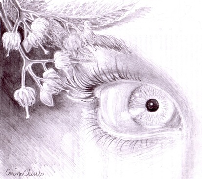 Flori de tei povestea ei - Ochiul iubitei lui Eminescu desenat in creion Flori de tei povestea ei - Ochiul iubitei lui Eminescu desenat in creion