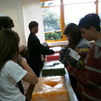 foto6.JPG