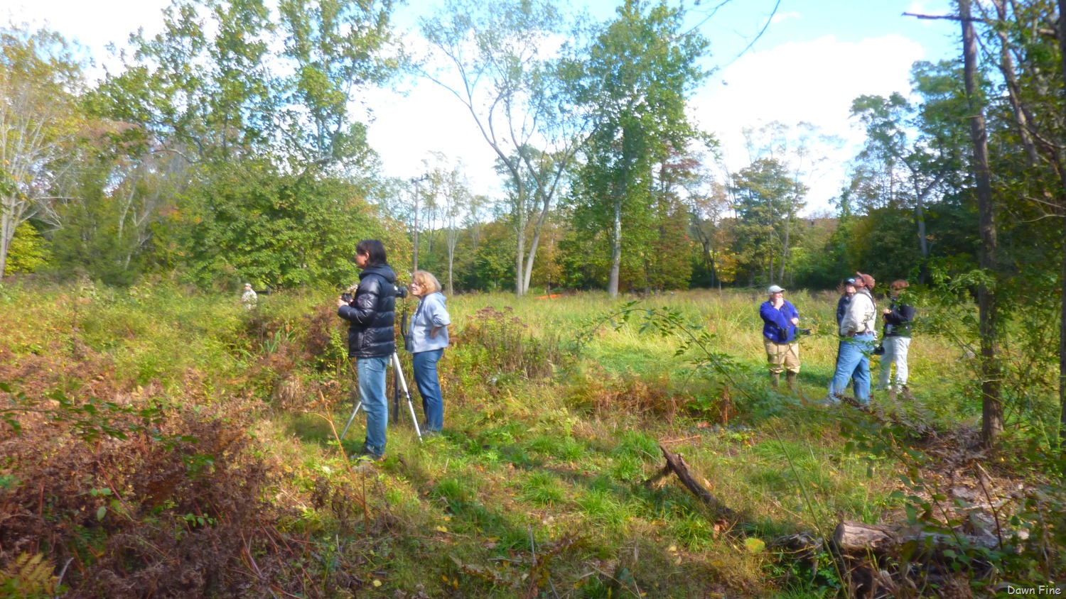 [BwBTC-Wilton-CT_0494.jpg]