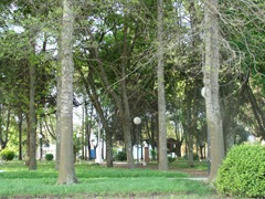 DSC08544 DSC08544