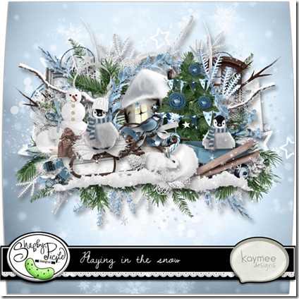 -preview-kaymeedesigns-playinginthesnow