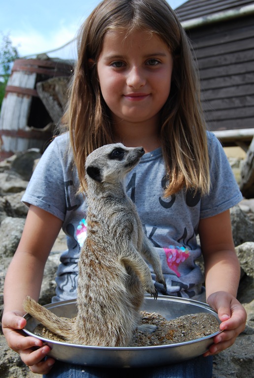 [DSC_0824%255B9%255D.jpg]