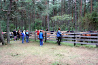 Lojsta Hed 26 juli 2010
