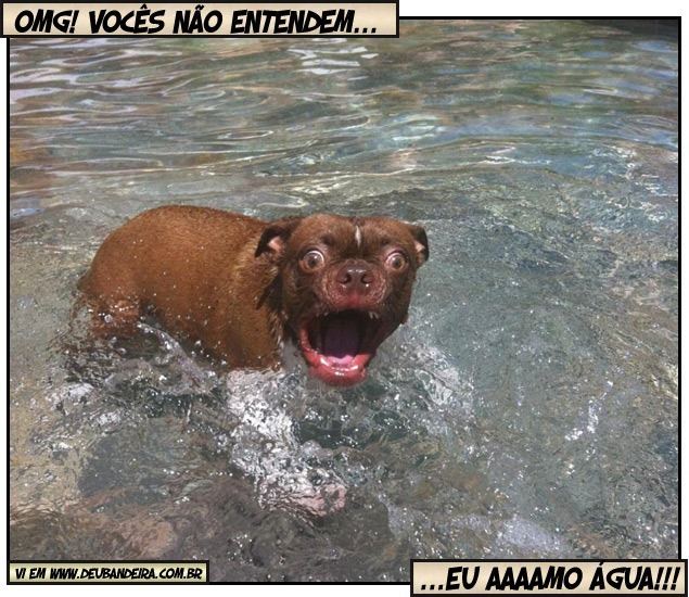 eu aaaamo água!!! eu aaaamo água!!!