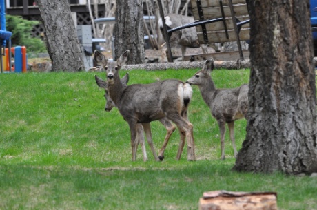 DSC_0059.jpg DSC 0059