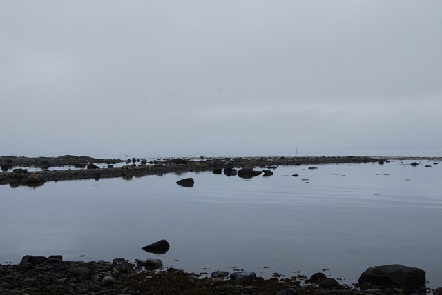 [DSC_4791%255B5%255D.jpg]