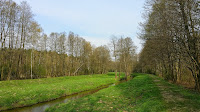 20140413_095018.jpg Photo 20140413_095018.jpg Photo