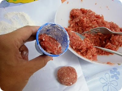 P9301113 P9301113