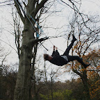 Royal Forest of Dean metsas...