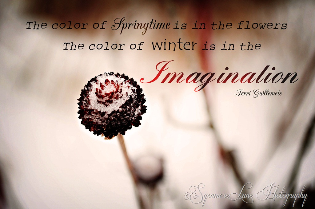 [The%2520color%2520of%2520winter-web%255B28%255D.jpg]